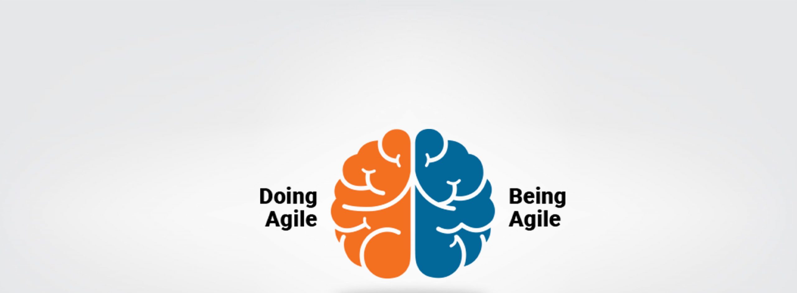 blog-banner-Stop-Doing-Agile-And-Start-being-Agile