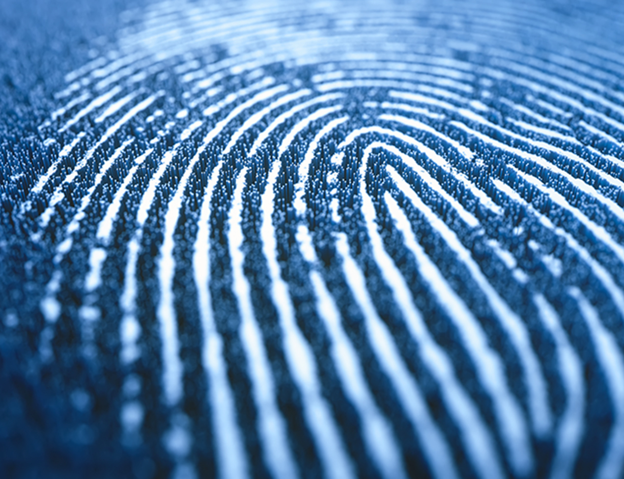 The Future of Identity Management