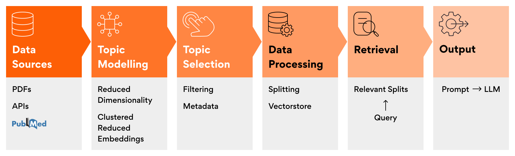 Figure 1: Workflow of BioMedInsights&nbsp