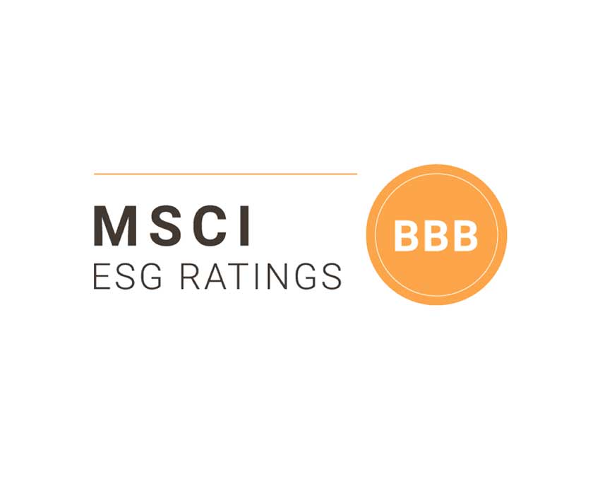 MSCI ESG Ratings of Persistent